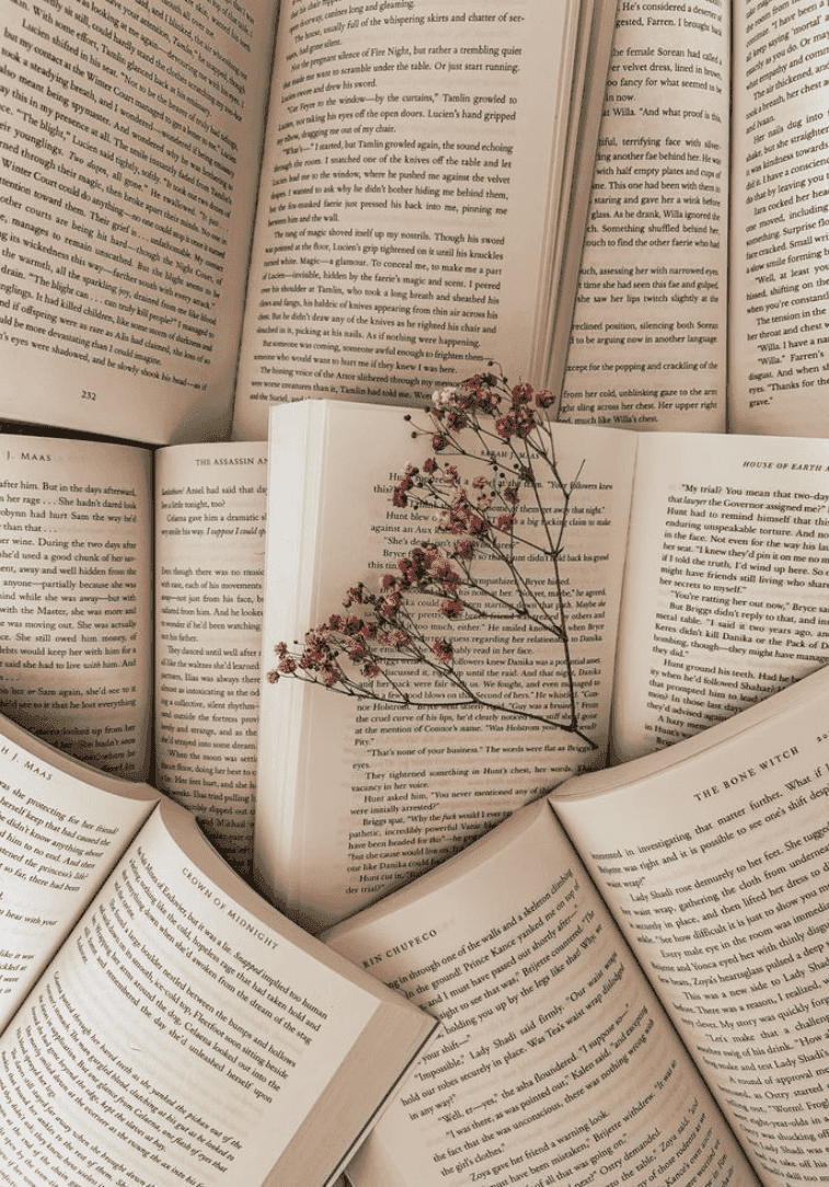 The Best Steamy Historical Romance Novels (For My Soft, Bookish Girls)